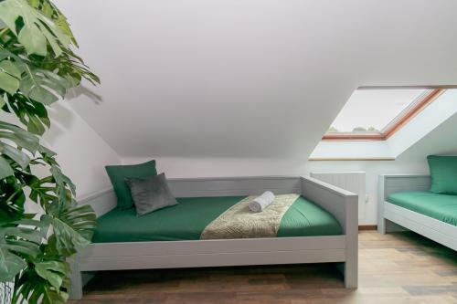 trendy-green-apartment-008